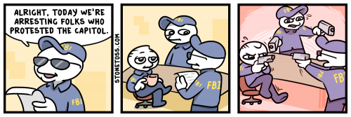 fbi capitol protest stonetoss comic