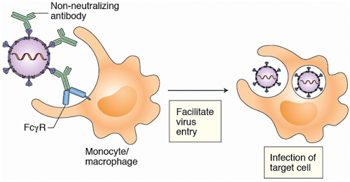 Antibody dependent enhancement phenomenon