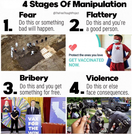 4 stages of manipulation COVID 19 corona bioweapon