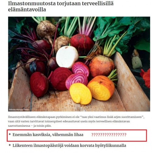 Ilmastoaivopesu koulukirjassa 2