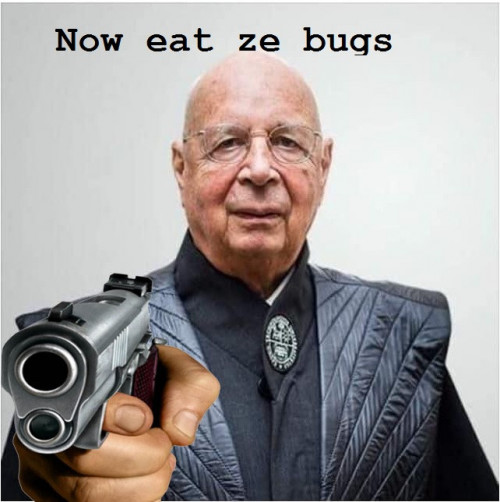 ze bug