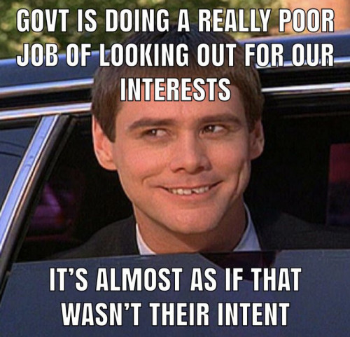 government