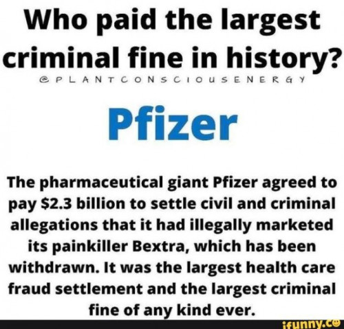 Pfizer sakko