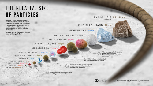 RelativeSizeofParticles Infographic 1920px v8