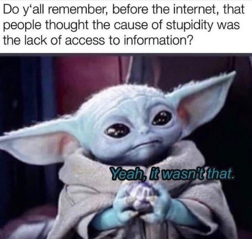 information stupitidy yoda