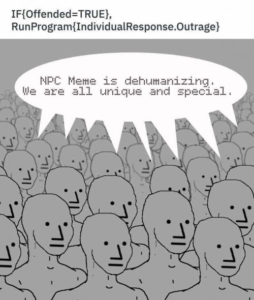 NPC meme