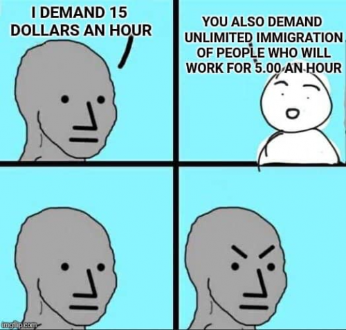 NPC 15 dollars wage immigrant 5 dollars