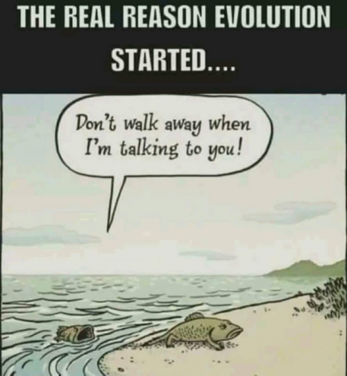 real reason for the evolution 360840