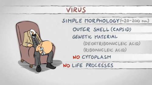 virus definition