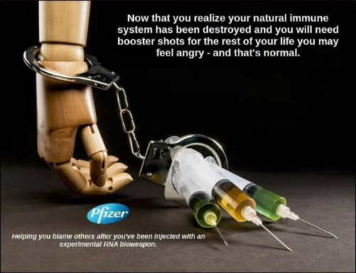 Pfizer immune system destroyed