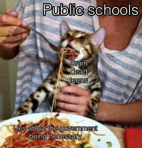 c6UQi.jpg