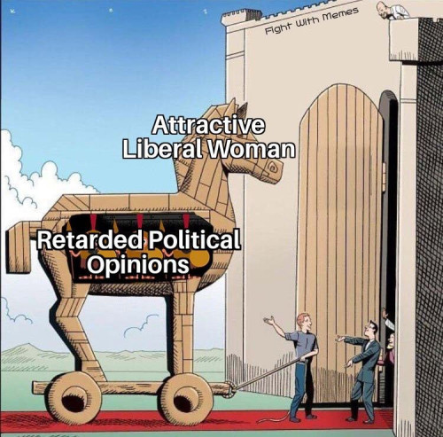 c6wMy.jpg
