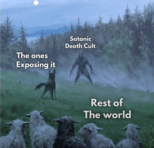cSTnV.jpg