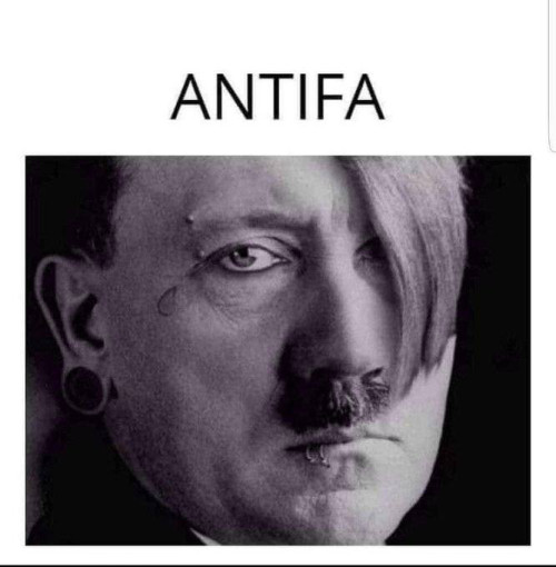 cdZe8.jpg
