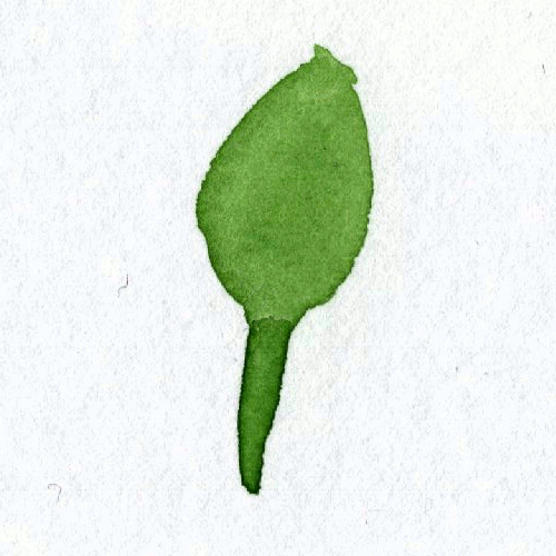 cM7iZ.gif