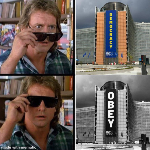 cF8Mi.jpg