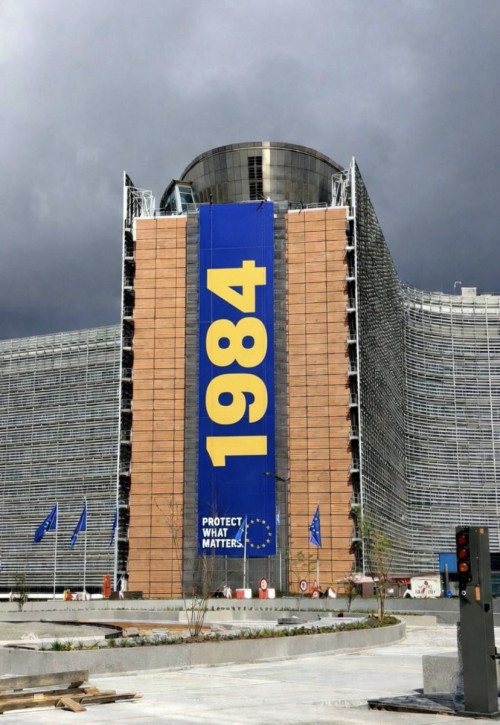 ceQ87.jpg