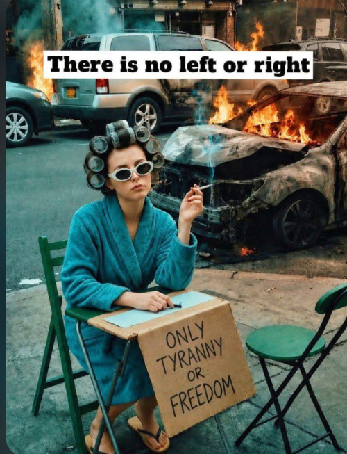 csnf9.jpg