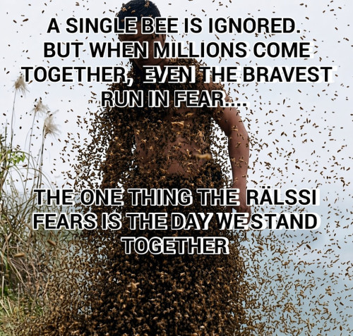 csDha.jpg