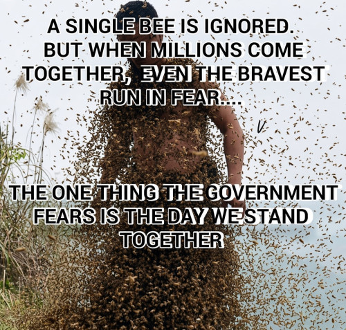 csft8.jpg