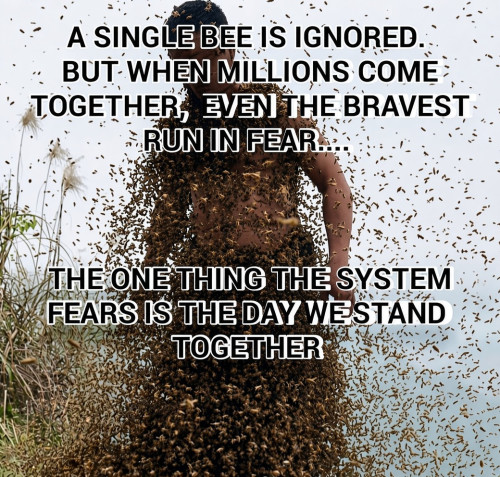 cst89.jpg